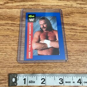1991 collectors card